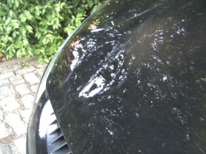 another angle of the dent